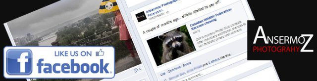 Facebook Page Ansermoz Photography!