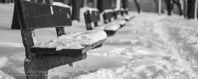 Winter Photographer – La Fontaine Park