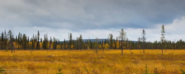 Urho Kekkonen National Park – Finland