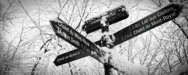 Montreal Winter,Canada