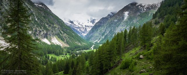 Gran Paradisio, Val de Cogne, Italy