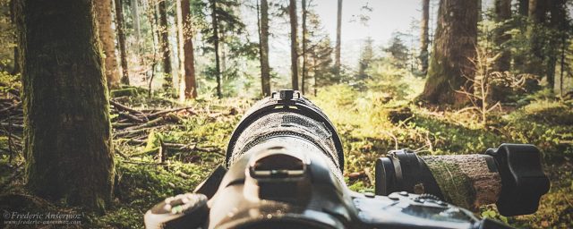 Sigma 150-600mm F5-6.3 DG OS HSM Sport Version